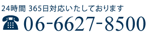 TELF06-6627-8500